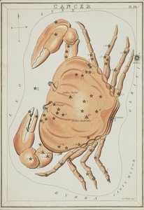 Cancro, illustrazione da 