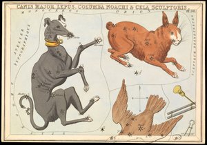 Canis Major. Lepus, Columba Noachi & Cela Sculptoris, c.1825 da Sydney Hall