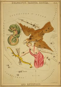 Delphinus, Sagitta, Aquila e Antinous, Illustrazione da 