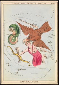 Delphinus, Sagitta, Aquila e Antinous, c.1825