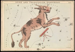 Lince e Telescopium Hereschilii, c.1825 da Sydney Hall