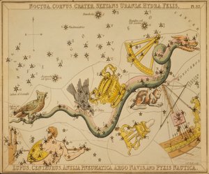 Noctua, Corvus, Crater, Sextans Uraniæ, Hydra, Felis, Lupus, Centaurus, Antlia Pneumatica, Argo Navis, e Pyxis Nautica, Illustrazione da 