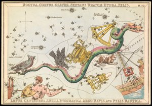 Noctua, Corvus, Crater, Sextans Uraniae, Hydra, Felis, Lupus, Centaurus, Antilia Pneumatica, Argo Navis e Pysix Nautica, c.1825 da Sydney Hall