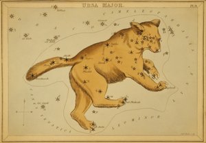 Orsa Maggiore, illustrazione da 