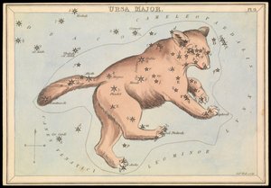 Orsa Maggiore, c.1825 (cartone, carta, tessuto)