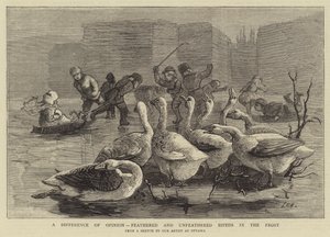 Una differenza di opinione, bipedi piumati e non piumati nel gelo da Sydney Prior Hall