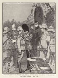 Il Duca di Cornovaglia presenta la Victoria Cross al tenente Maxwell a Pietermaritzburg da Sydney Prior Hall