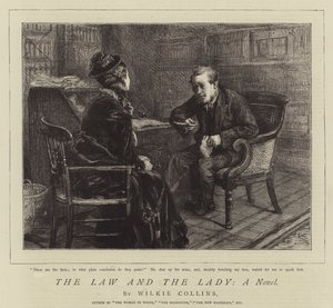 La legge e la signora, un romanzo