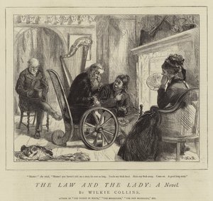 La Legge e La Signora, Un Romanzo