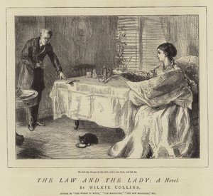 La legge e la signora, un romanzo