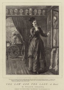 La legge e la signora, un romanzo