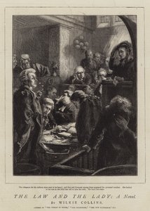 La legge e la signora, un romanzo