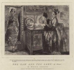 La legge e la signora, un romanzo