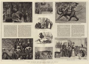 Il tour del Principe di Galles in India
