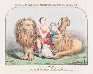 Il leone e l