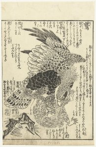 Aquila con scimmia tra gli artigli