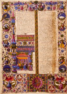 Il libro dell
