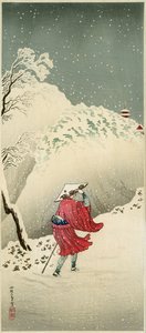 Viaggiatore nella neve