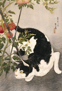 Gatto che si aggira intorno a una pianta di pomodoro, 1931 da Takahashi Hiroaki