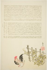 Gallina e gallo vicino al recinto da Tanaka Nangai