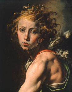 Figura di Davide (dettaglio) da Tanzio da Varallo