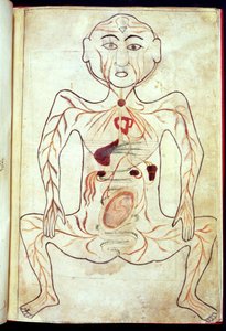 Membri organici e l
