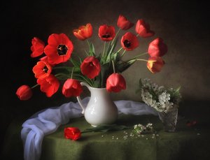 Tulipani rossi vivaci da Tatyana Skorokhod