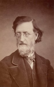 Ritratto di John Peter Lesley, dicembre 1875