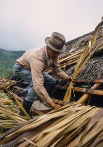 Un contadino colombiano copre il tetto con foglie di canna da zucchero, vicino a Pamira, Colombia