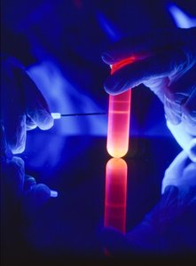 Estrazione di nucleotidi di RNA da una provetta centrifuga di plastica