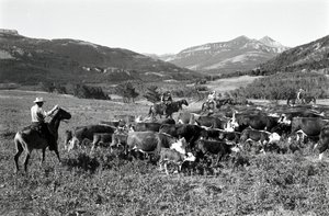 Robert Staffanson