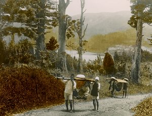 Ragazza giapponese in un Kago, regione di Hakone, 1900-1915 circa (fotografia)