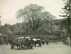  da Teijiro Takagi