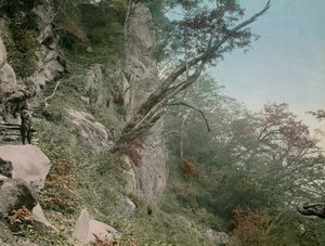 sulla strada per le cascate di Kegon a Nikko, circa 1900 - 1915 (fotografia) da Teijiro Takagi