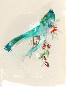 Silhouette di uccello
