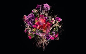 Bouquet VIIII, 2018 da Teis Albers