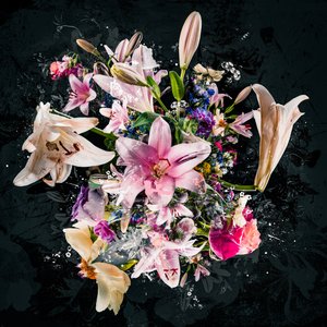 Bouquet VIII, 2018