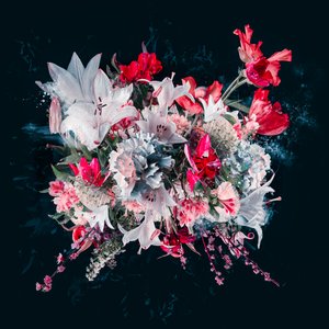 Bouquet V, 2018