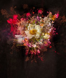 Bouquet XXVII, 2019