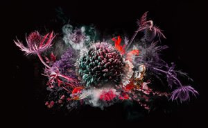 Bouquet X