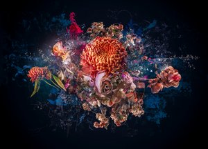 Collage di Bouquet