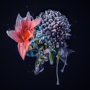 Piccolo bouquet