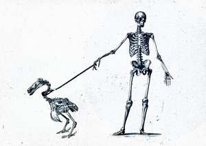 Passeggiando il mio dodo da Teis Albers