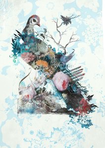 Wildness Rework da Teis Albers