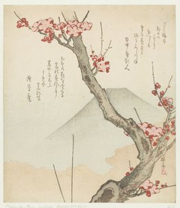 Monte Fuji e un prugno in fiore