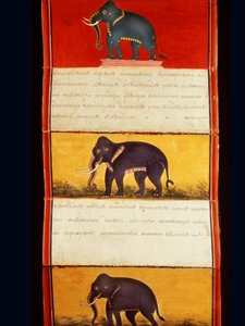 Foglio di un manoscritto sull