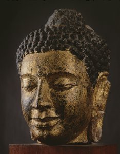 Testa gigante del Buddha con occhi chiusi, stile Srivijaya