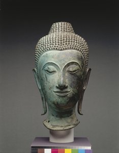 Testa di Buddha
