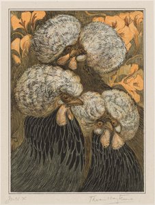 Tre galline crestute
