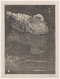 Anatra galleggiante da Theo van Hoytema (signed by artist)